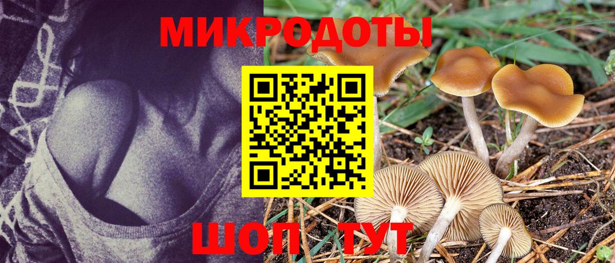 Псилоцибиновые грибы Cubensis Тихорецк