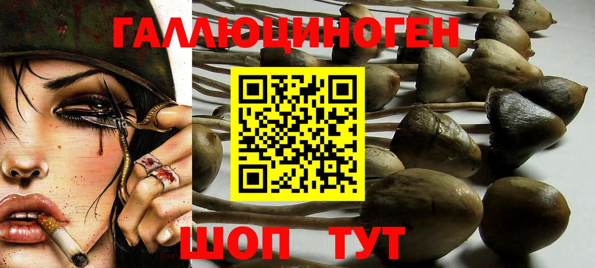 Тихорецк  Галлюциногенные грибы мухоморы  Вход с VPN 