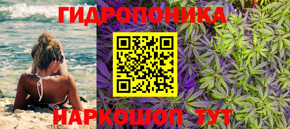 Канабис Bruce Banner Тихорецк